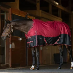 TuffRider Comfy Fit Waterproof Winter Horse Blanket, Medium Weight, 200 GSM, 69 in, Red