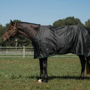 TuffRider Comfy Fit Waterproof Winter Horse Blanket, Medium Weight, 200 GSM