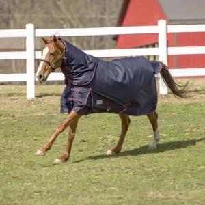 Tuffrider Comfy Heavy Weight Detachable Neck Winter Blanket with 350 gms of Fill