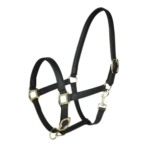 TuffRider EasyCare EquiLeather Heavy-Duty Break Away Halter with Brass Plated Fittings-Black-Cob