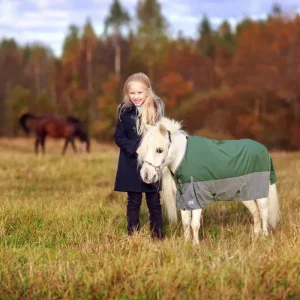 TuffRider Mini 1200D Ripstop Medium Weight 200 GSM Two Tone Turnout Blanket With Standard Neck- Hunter Green/Grey Bottom & Trim, 36