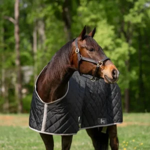 TuffRider Shelter Closed Front Medium Weight Stable Blanket-Black/Grey, 68 in