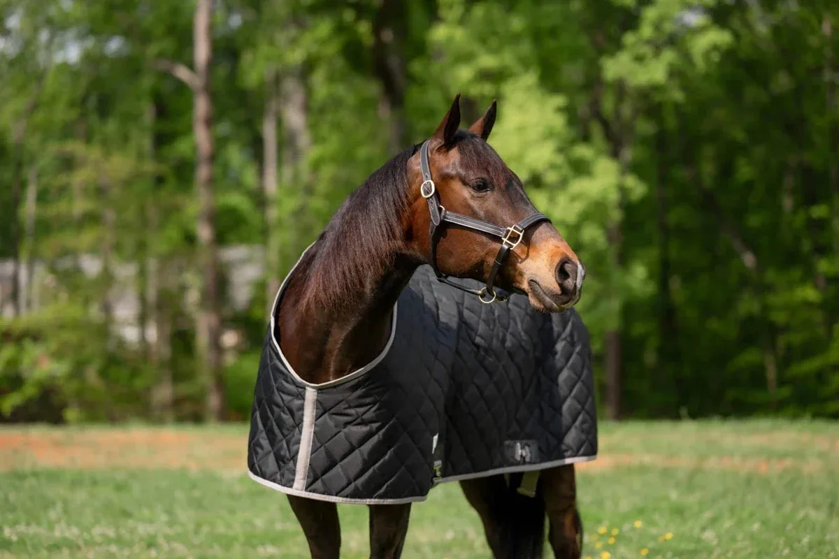 TuffRider Shelter Closed Front Medium Weight Stable Blanket-Black/Grey, 68 in