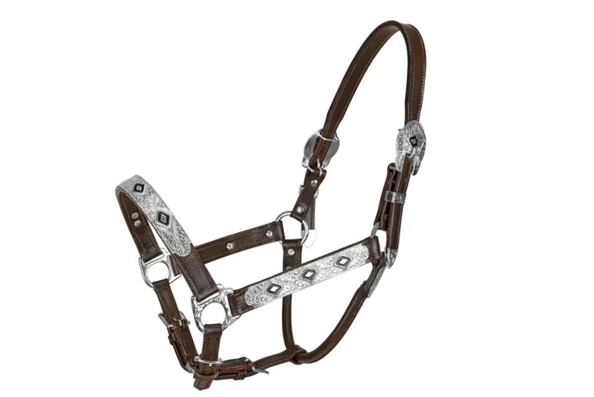 TuffRider Western Show Halter With, Silver, Dark, Brown, Horse