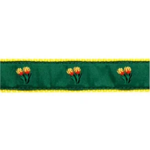 Tulip on Green