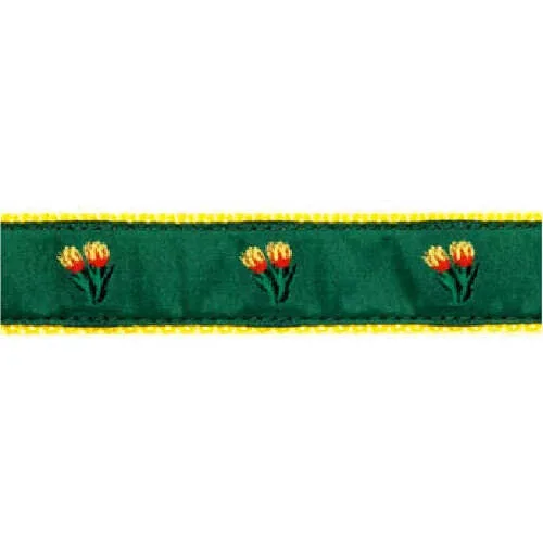 Tulip on Green