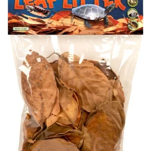 Turtle Leaf Litter