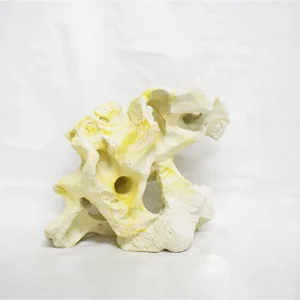 TX Holey Rock (Resin)