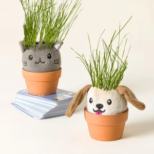 Uncommon Goods | It’s Sprouting Cats & Dogs, 2 Grow Kits