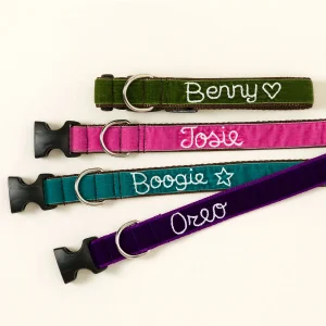 Uncommon Goods | Personalized Hand Embroidered Dog Collar