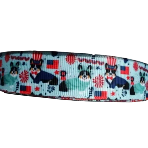 USA Pups Nylon Dog Collar