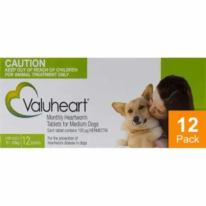 Valuheart Green Dogs 23
