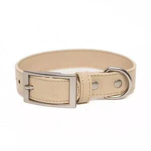 Vegan Leather Dog Collar - Champagne Fizz Design