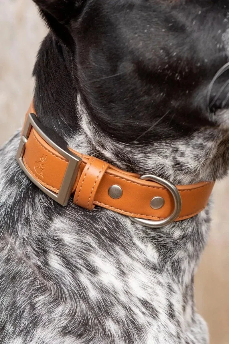 Vegan Leather Dog Collar - Sierra Sunrise Design - Image 2