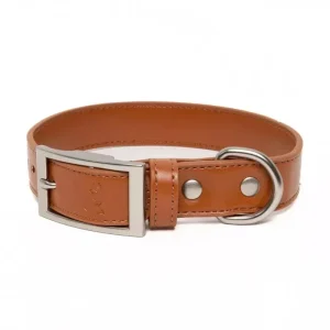 Vegan Leather Dog Collar - Sierra Sunrise Design