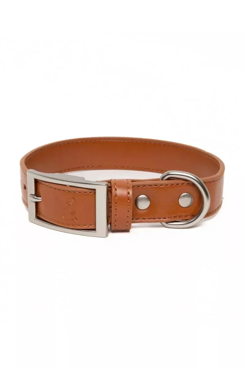 Vegan Leather Dog Collar - Sierra Sunrise Design