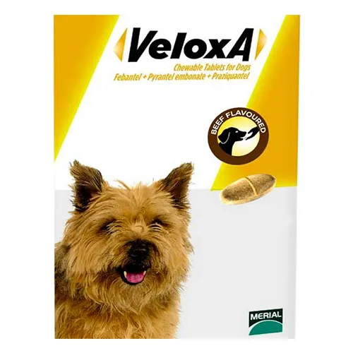 Veloxa Chewable Tablets for Dog : Buy Veloxa Wormer for Dogs