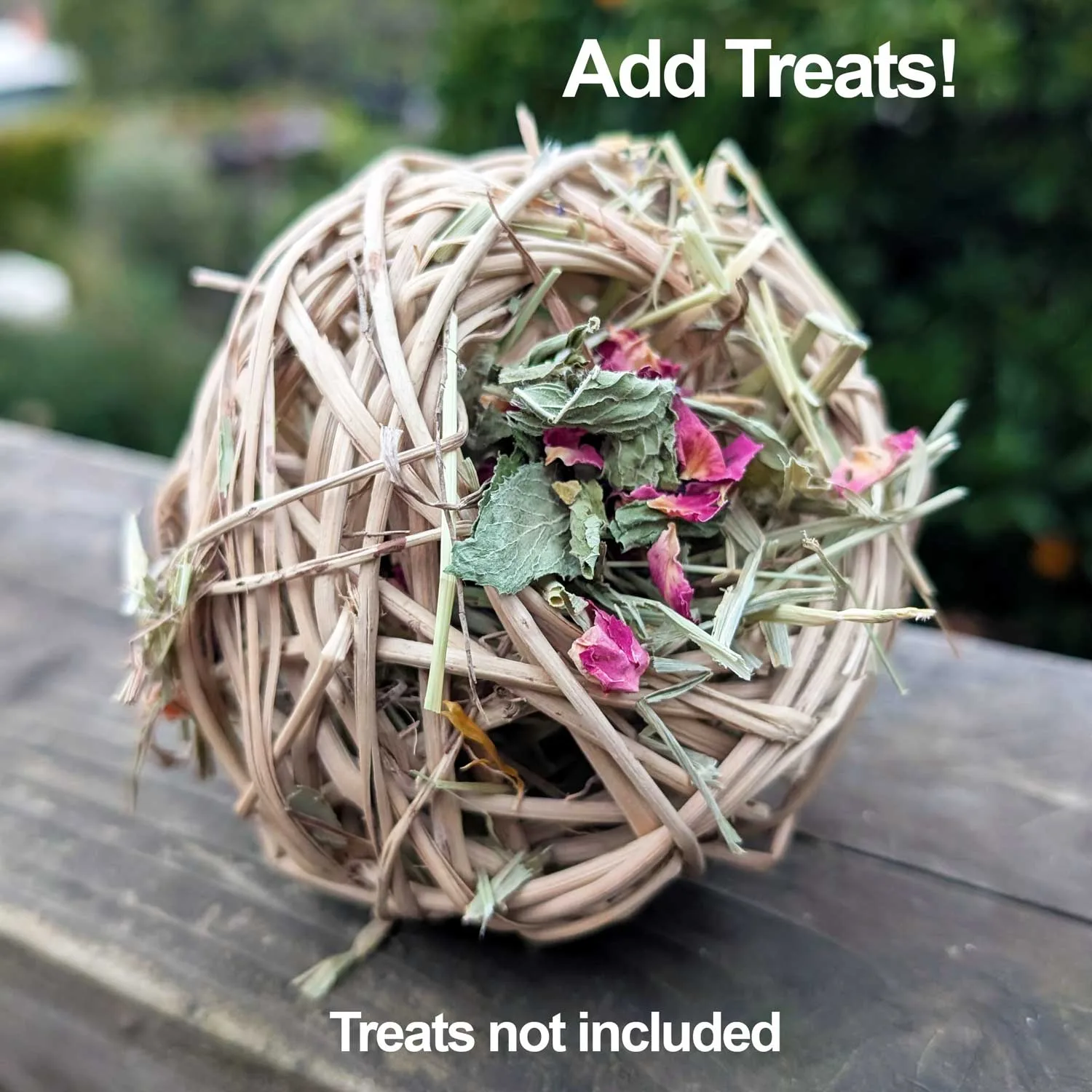 Vine Nom Nest™ | NEW - Image 2