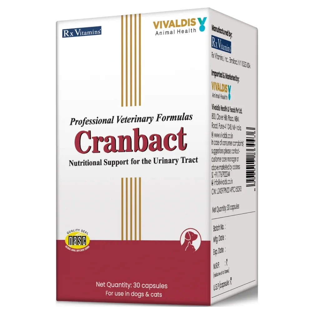 Vivaldis Cranbact Capsules for Dogs and Cats (pack of 30 capsules) - Image 2