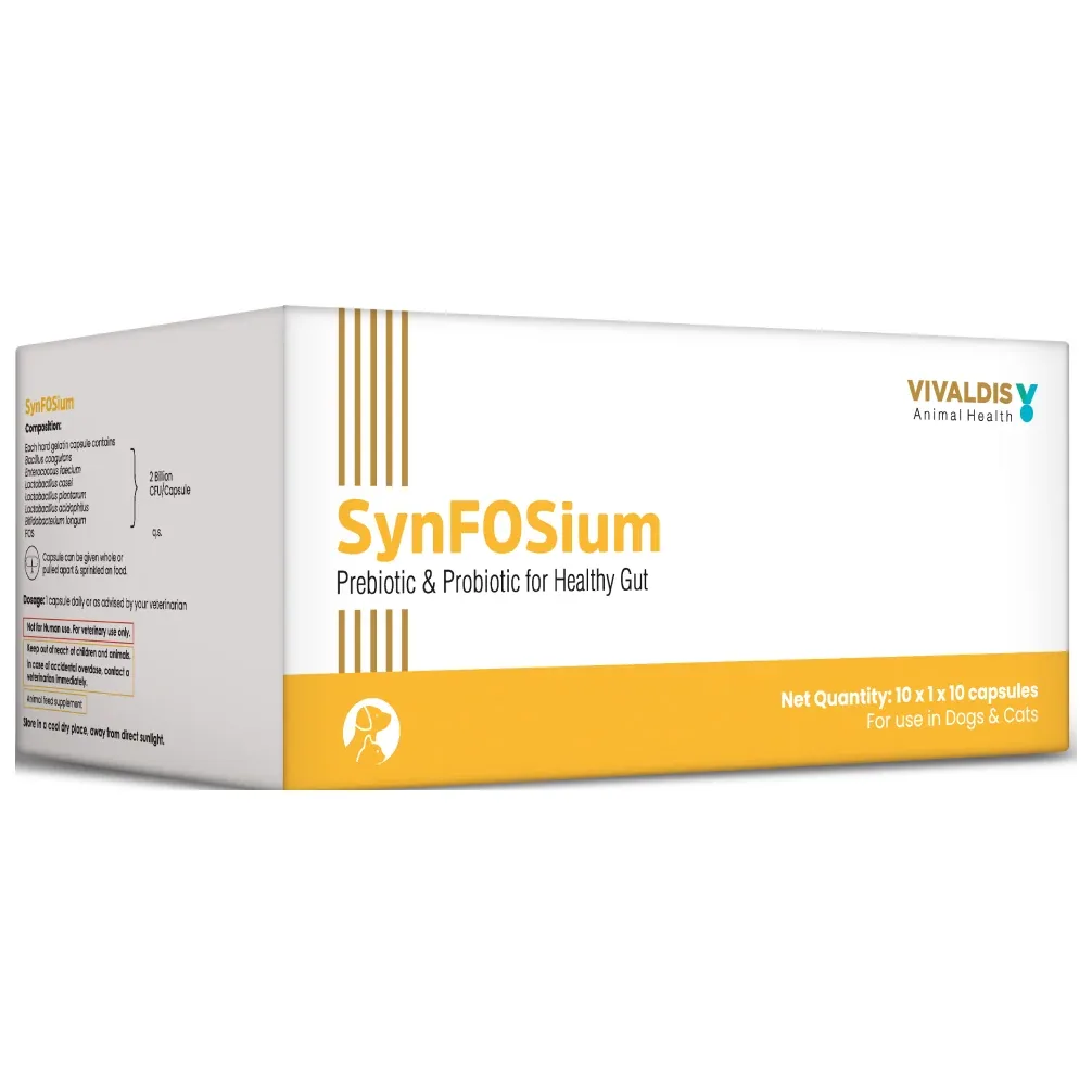 Vivaldis Synfosium Pre Probiotic Capsule for Dogs & Cats - Image 2