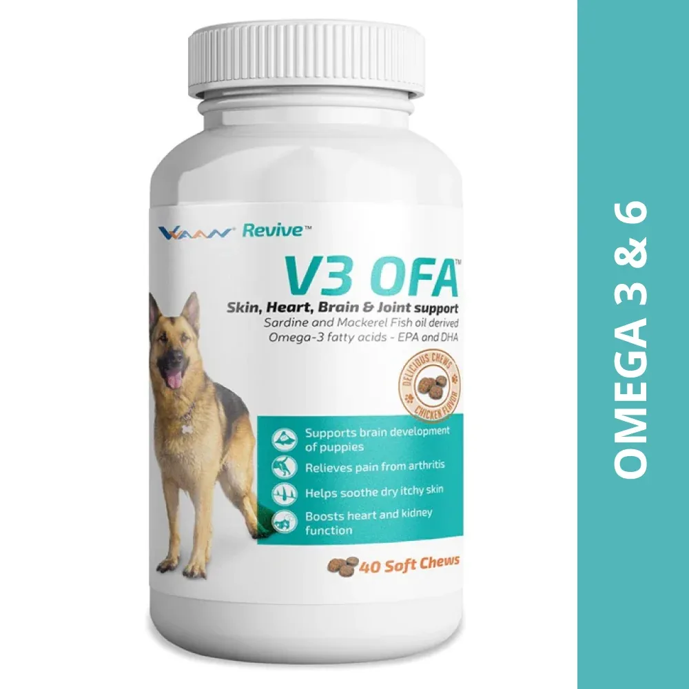 Vvaan V3 OFA Tablet Omega 3 & 6 Supplements for Dogs (pack of 40 tablets) - Image 2