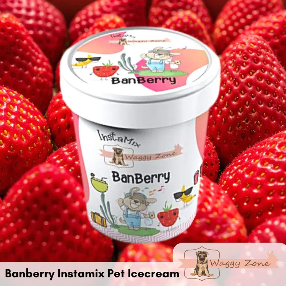 Waggy Zone Banberry Ice Cream for Pets - Image 2