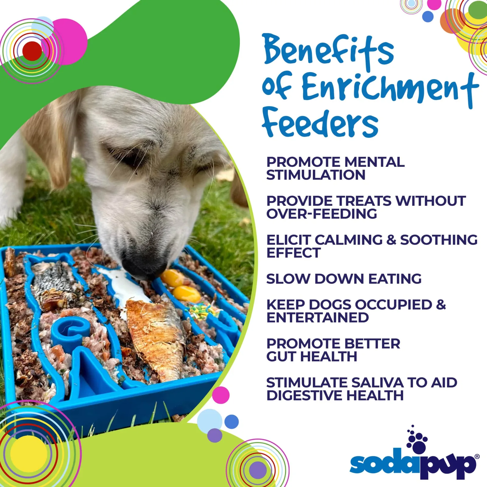 Waiting Dogs eTray - Shallow Slow Feeder Bowl for Enrichment - Image 2