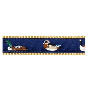 Waterfowl