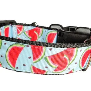 Watermelon Slices Nylon Dog Collar
