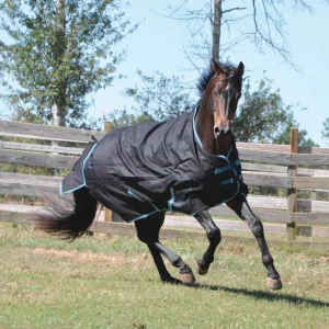 Waterproof Horse Turnout Sheet - 1200D Ripstop with Coolmax Moisture-Wicking Lining