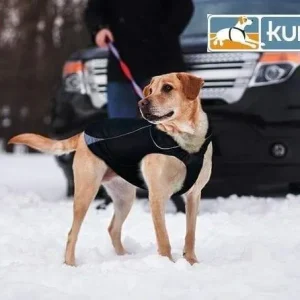 Waterproof North Country Dog Coat with LED Safety Light