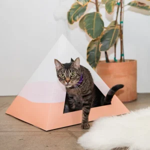 'Wavey' Cardboard Cat Pyramid