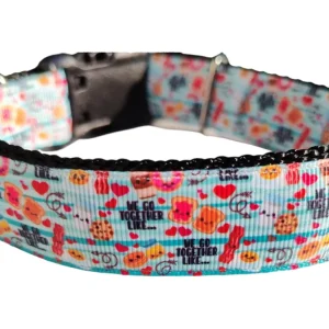 We Go Together Nylon Dog Collar