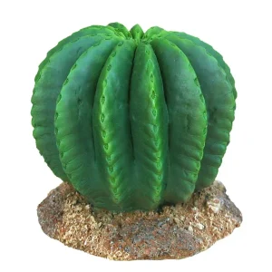 Weco Wecorama Badlands Golden Barrel Cactus Terrarium Ornament - Brown & Green, 3 in