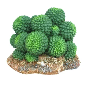 Weco Wecorama Badlands Sonoran Cactus Terrarium Ornament - Brown, Green, 2.92 in