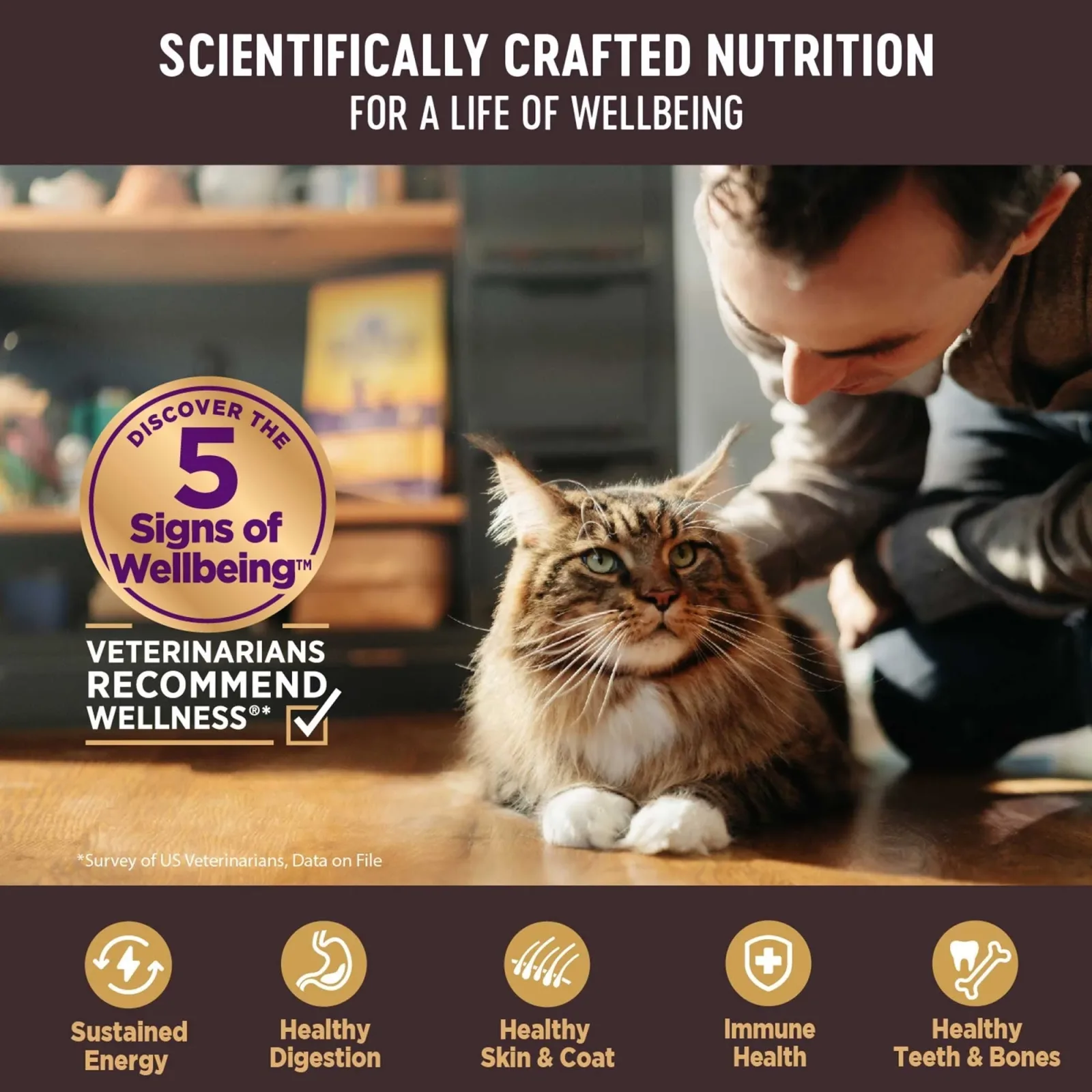 Wellness Cat Core Signature Select Shredded Chicken Beef Entrée 2.8 oz. 12 ct - Image 2