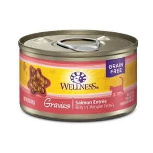 Wellness Complete Health Grain-Free Wet Cat Food - Salmon Entree in Gravy, 3 oz, 12 ct