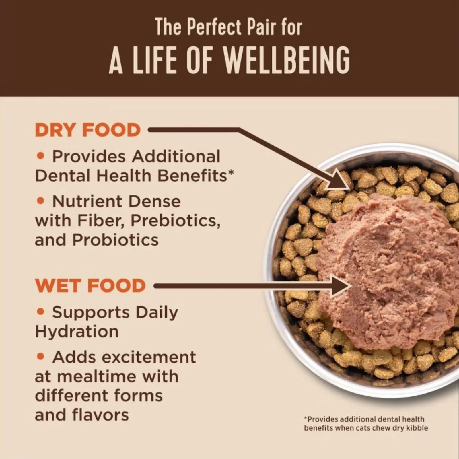 Wellness CORE Digestive Health Grain-Free Wet Cat Food - Turkey Pate, 3 oz, 12 ct - Image 2