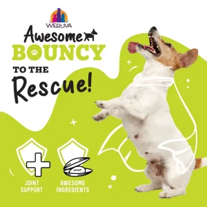 Weruva Dog Bouncy Chicken & Veggie, 14 oz each, Case of 10