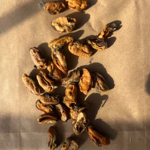 What the raw - Mussels
