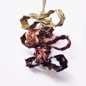 Whirligig Fruit-Flavored Toy