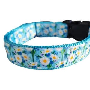 White Daisies Nylon Dog Collar