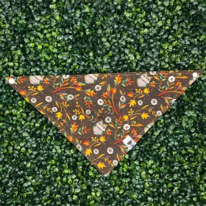 Wise Owl Bandana