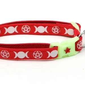 Witch's Familiar on Red Cat Collar
