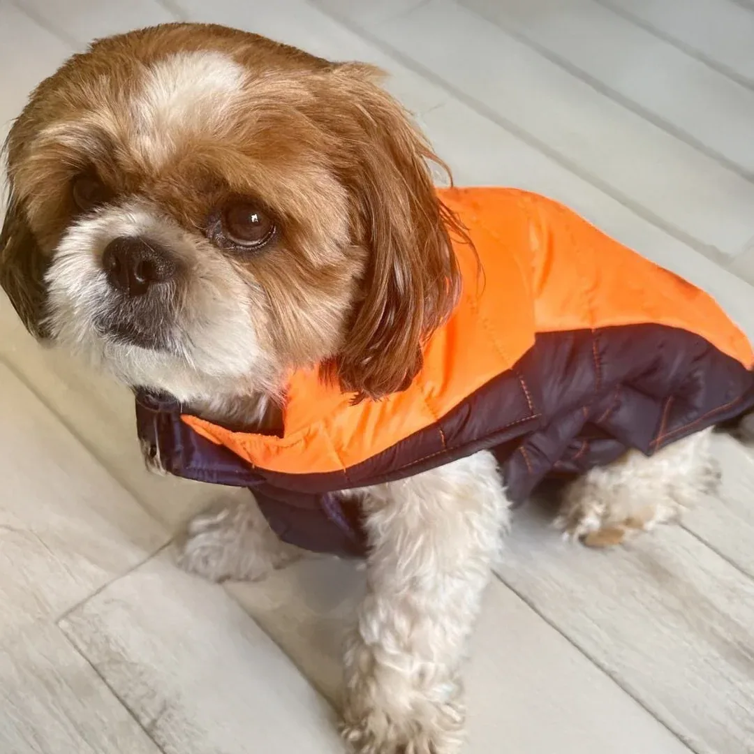 Woofiezz Warm & Comfortable Winter Jackets for Dogs and Cats (Orange/Blue)