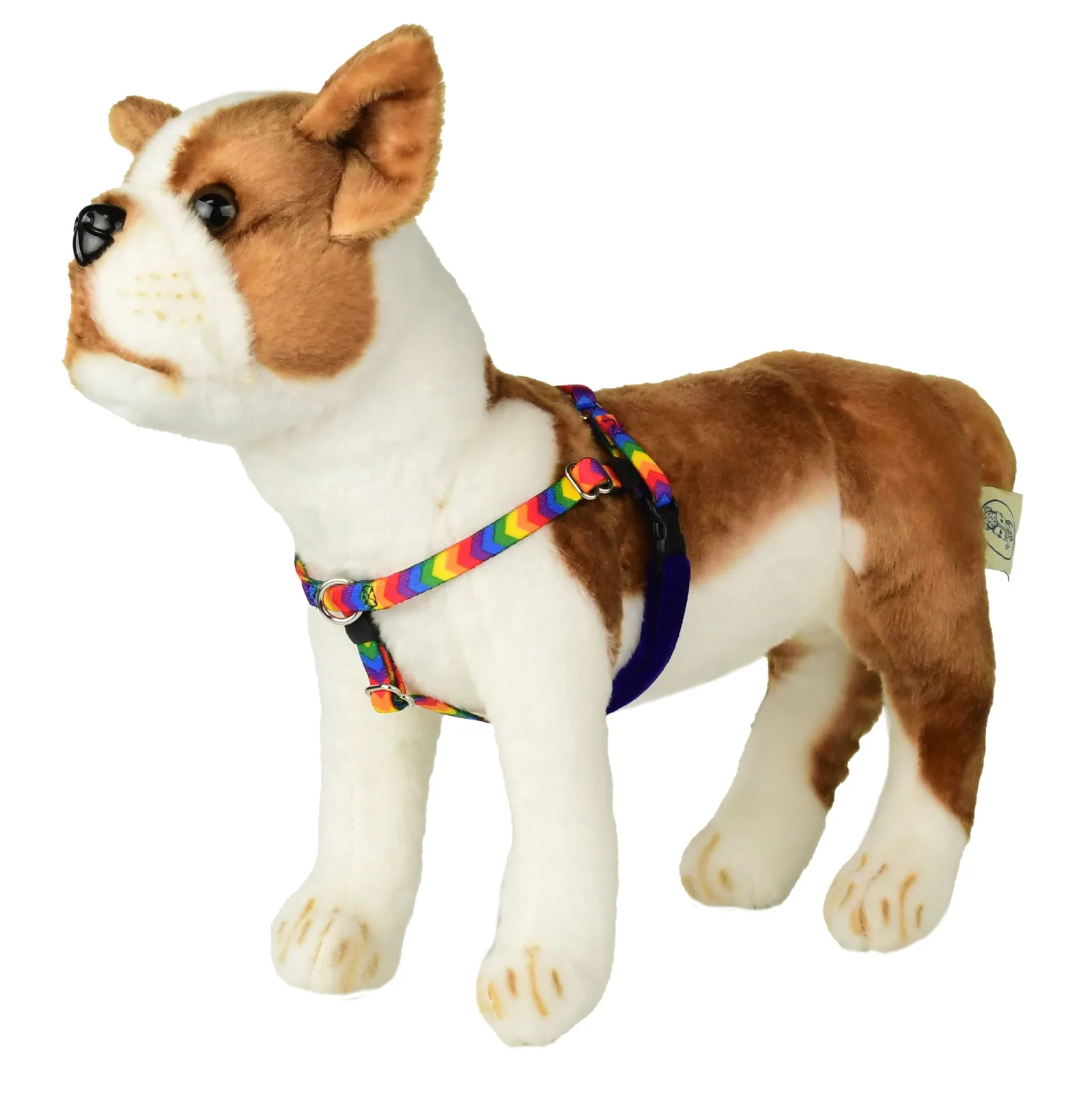 XXSmall Rainbow Stripe Freedom No