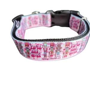 Ya'll Are Nuts! Nutcracker Nylon Dog Collar