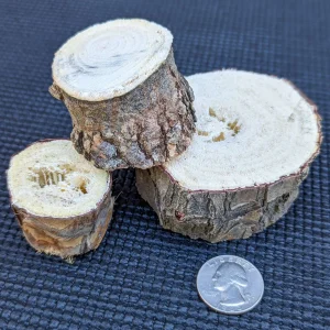 Yucca Chunks