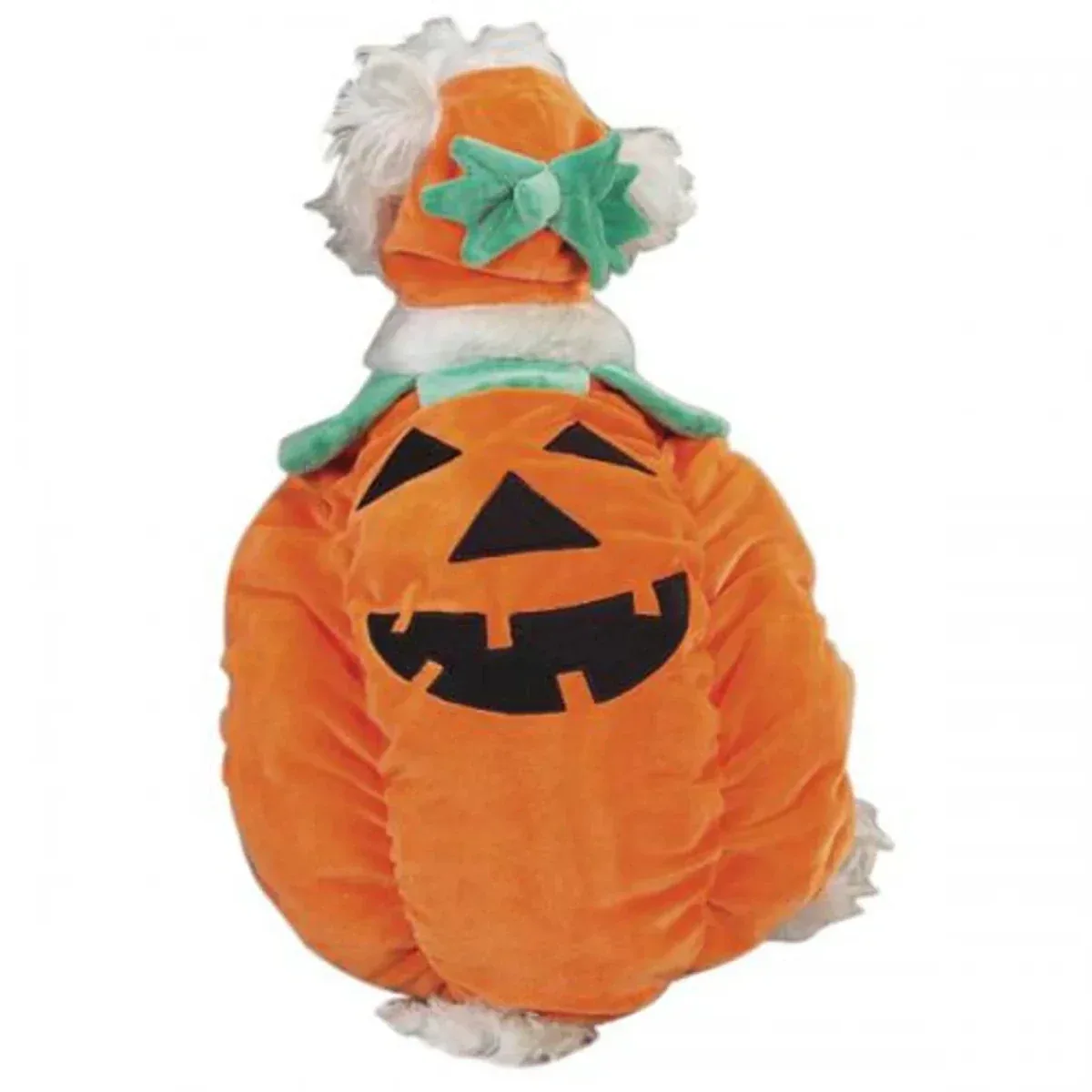 Zack & Zoey Pumpkin Pooch Costume - Image 2