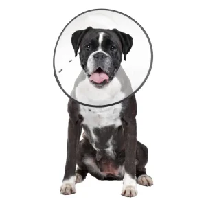 ZenPet E-Clear Plastic Recovery Dog Collar X-Large
